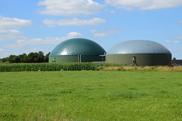 Anaerobic Digestion and Biogas Systems