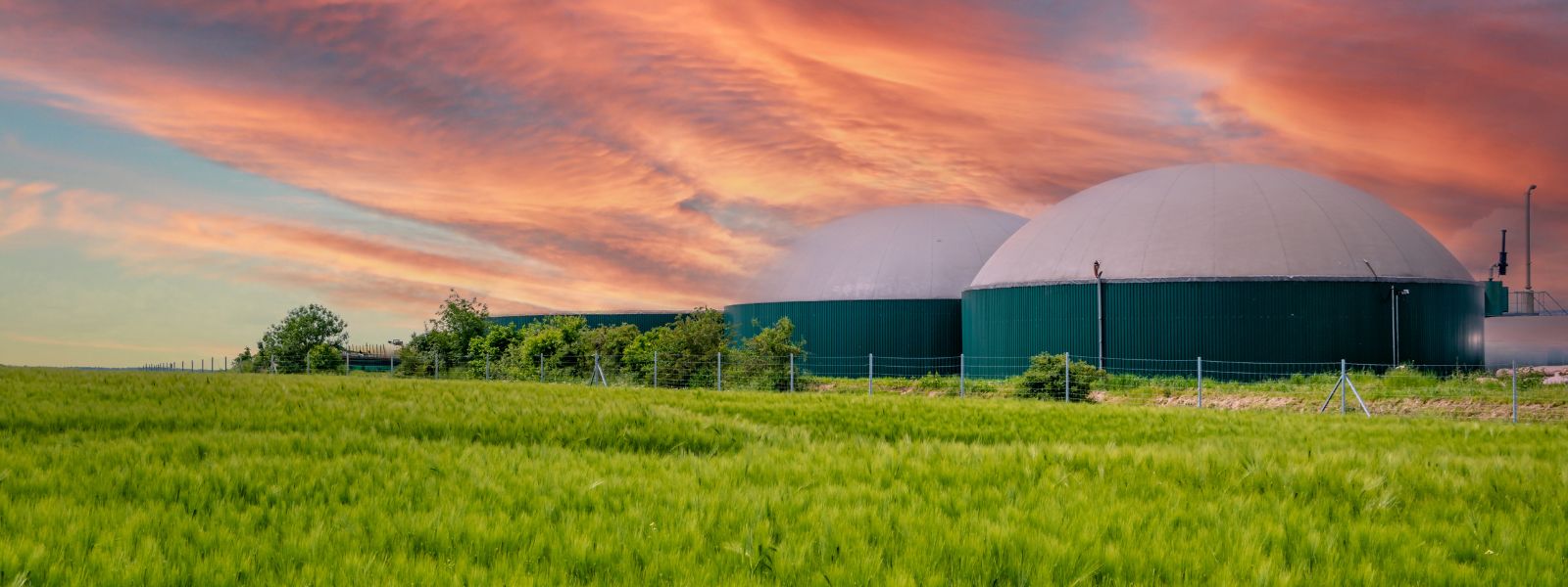 Renewable Natural Gas Upgrading and Infrastructure